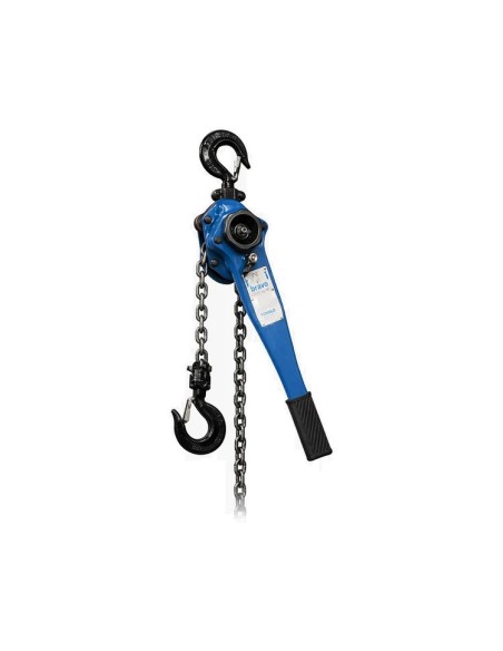 Tractel Bravo 750kg, paranco con catena da 7mt